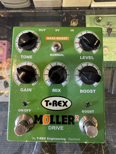 T Rex Moller 2
