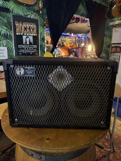 SWR Goliath Jr. II, 2x 10″