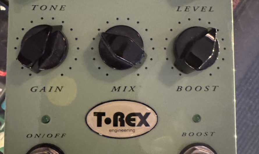 T Rex Möller 1