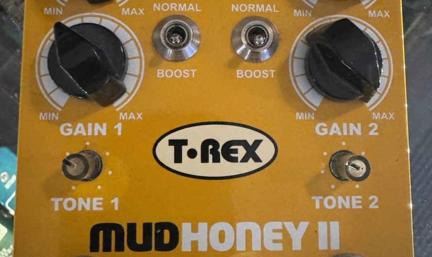 T Rex Mudhoney 2