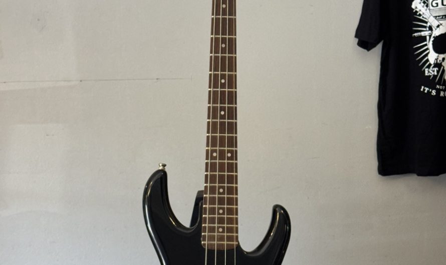 Flea Bass Touring The Wild One