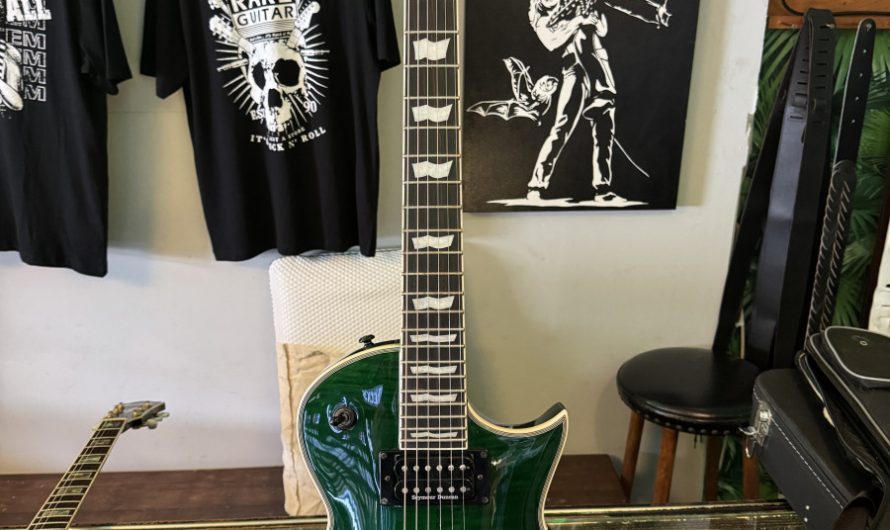 ESP LTD EC 1000 Deluxe (RESERVIERT)