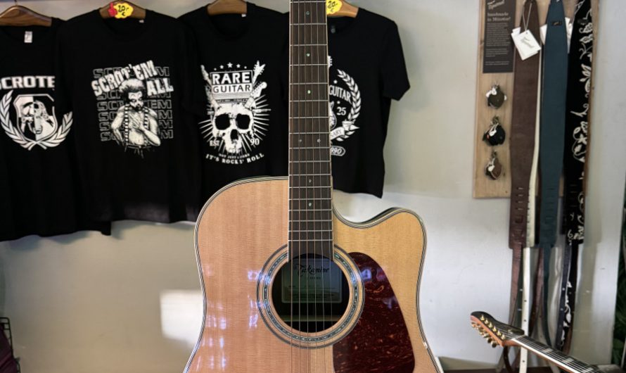 Takamine GD 90 CE